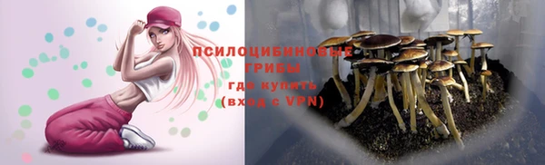 трава Богданович